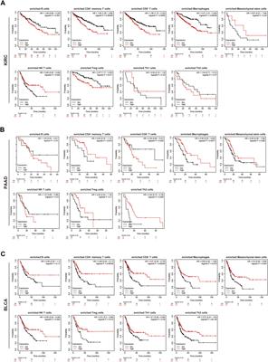 Identification of TRPM2 as a Marker Associated With Prognosis and Immune Infiltration in Kidney Renal Clear Cell Carcinoma